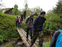 zloty lisc 2018 (6)